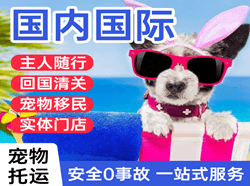 昆明长水机场空运国际宠物托运 【国